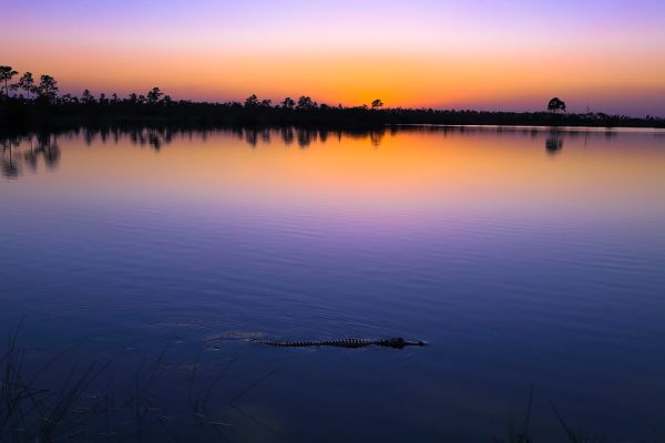 Pôr do sol no parque